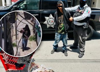 cámar-de-C4-de-Monterrey-detectan-a-joven-robar-cable