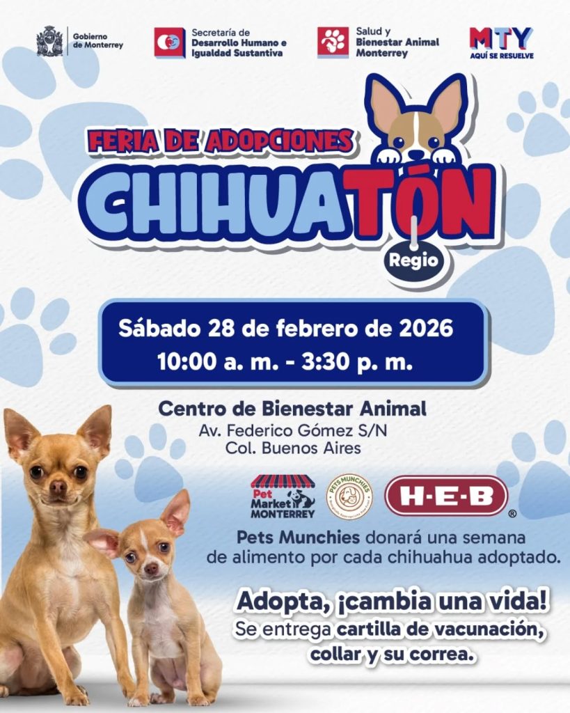 Evento Para Los Amantes De Los Perritos Chihuahua Centro de Bienestar Animal